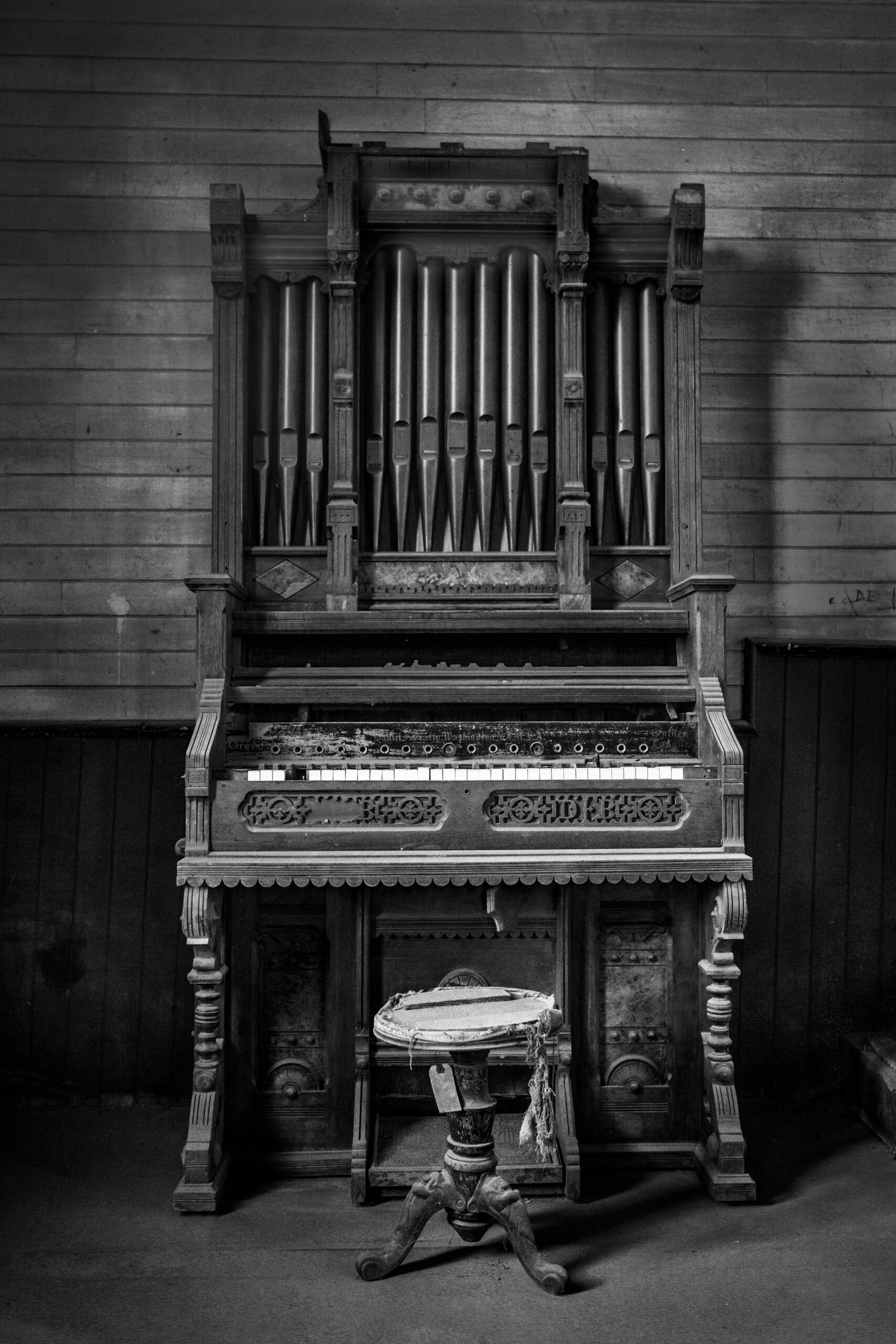 Donovan Conway Photography